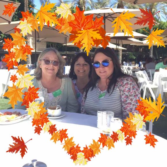 Meet your Posher, Paula - Picture 1 of 1